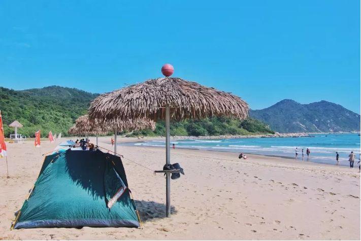 近日，浙江杭州，越冬候鸟在西湖频频捕食，像极了吃自助餐